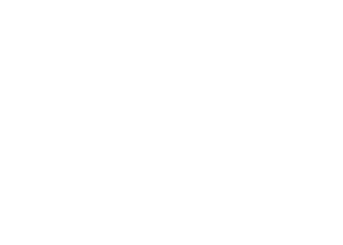 The Vibe Logo